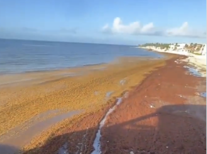 Maldición Chaira en Quintana Roo